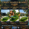 Crazy Bush Videos Guide